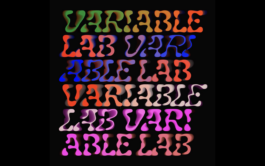 Variable Lab Blog